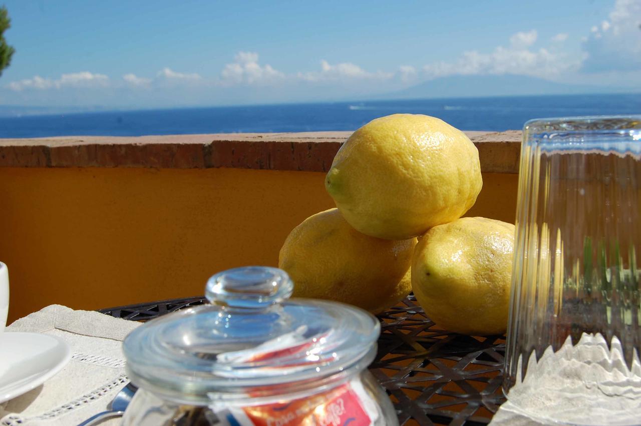 La Terrazza Sul Mare Bed and Breakfast Capri Eksteriør billede