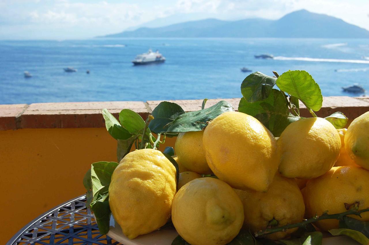 La Terrazza Sul Mare Bed and Breakfast Capri Eksteriør billede