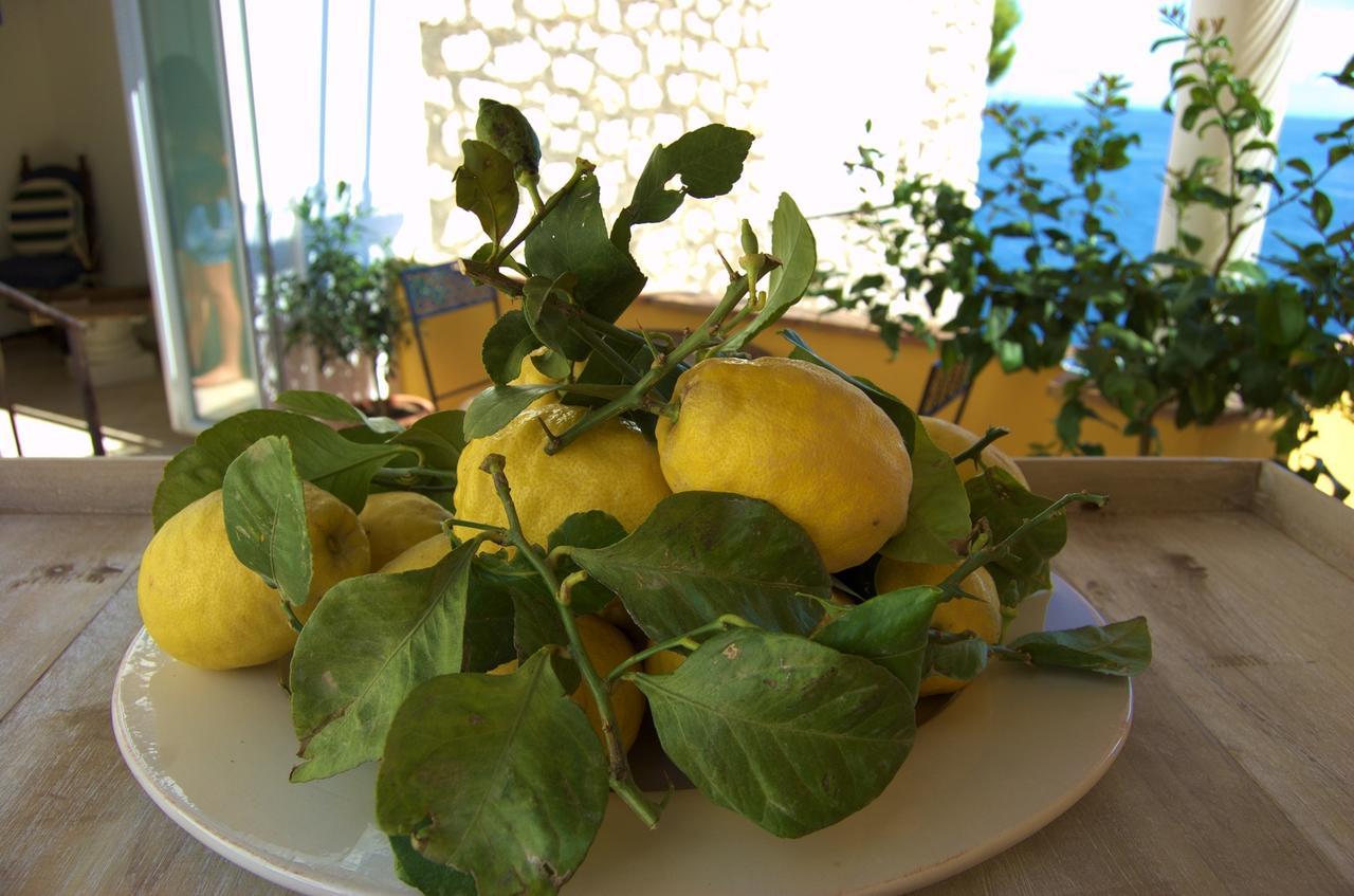 La Terrazza Sul Mare Bed and Breakfast Capri Eksteriør billede